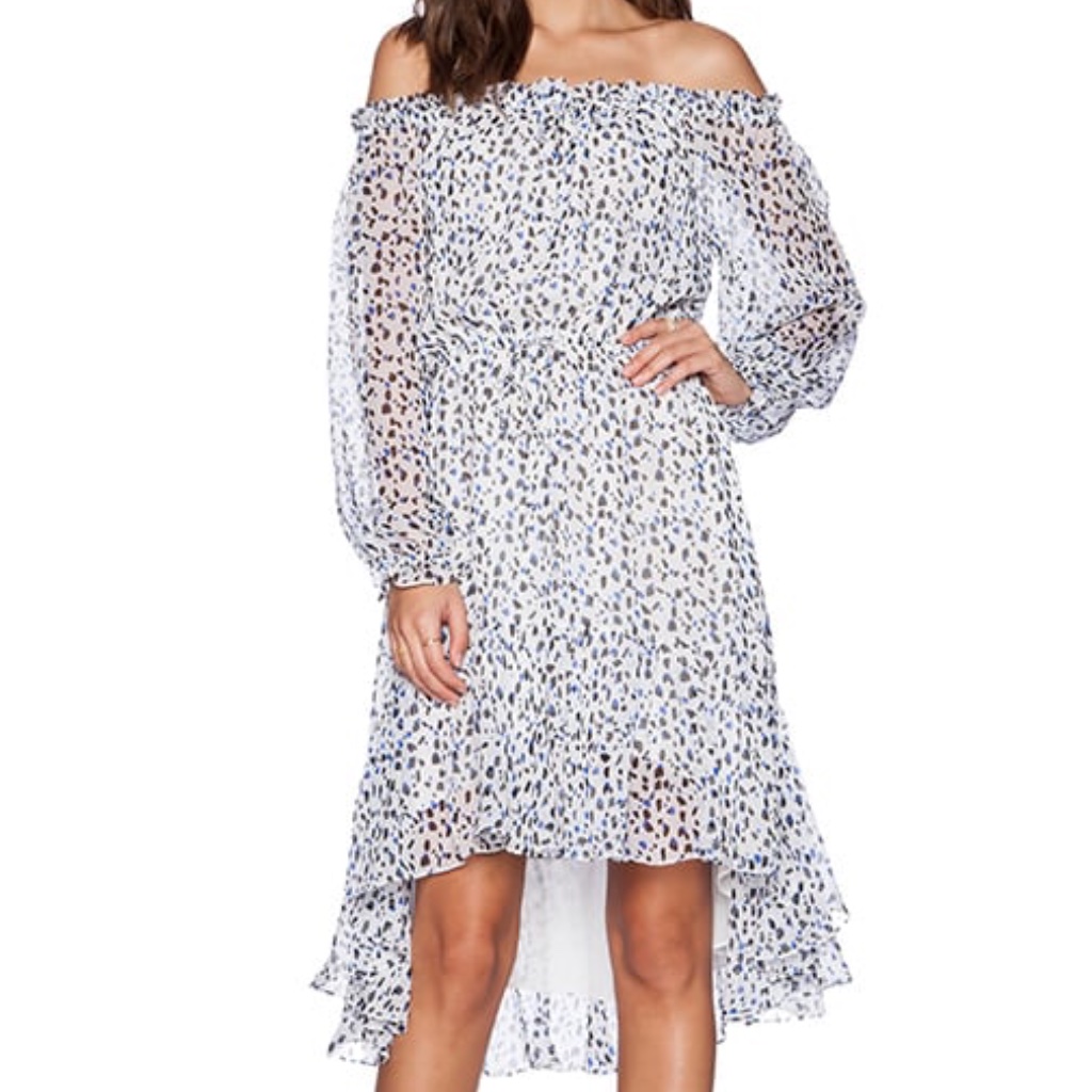 Diane Von Furstenberg Camila Animal Print Silk Dress Size 0